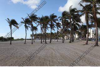 background beach Miami 0003